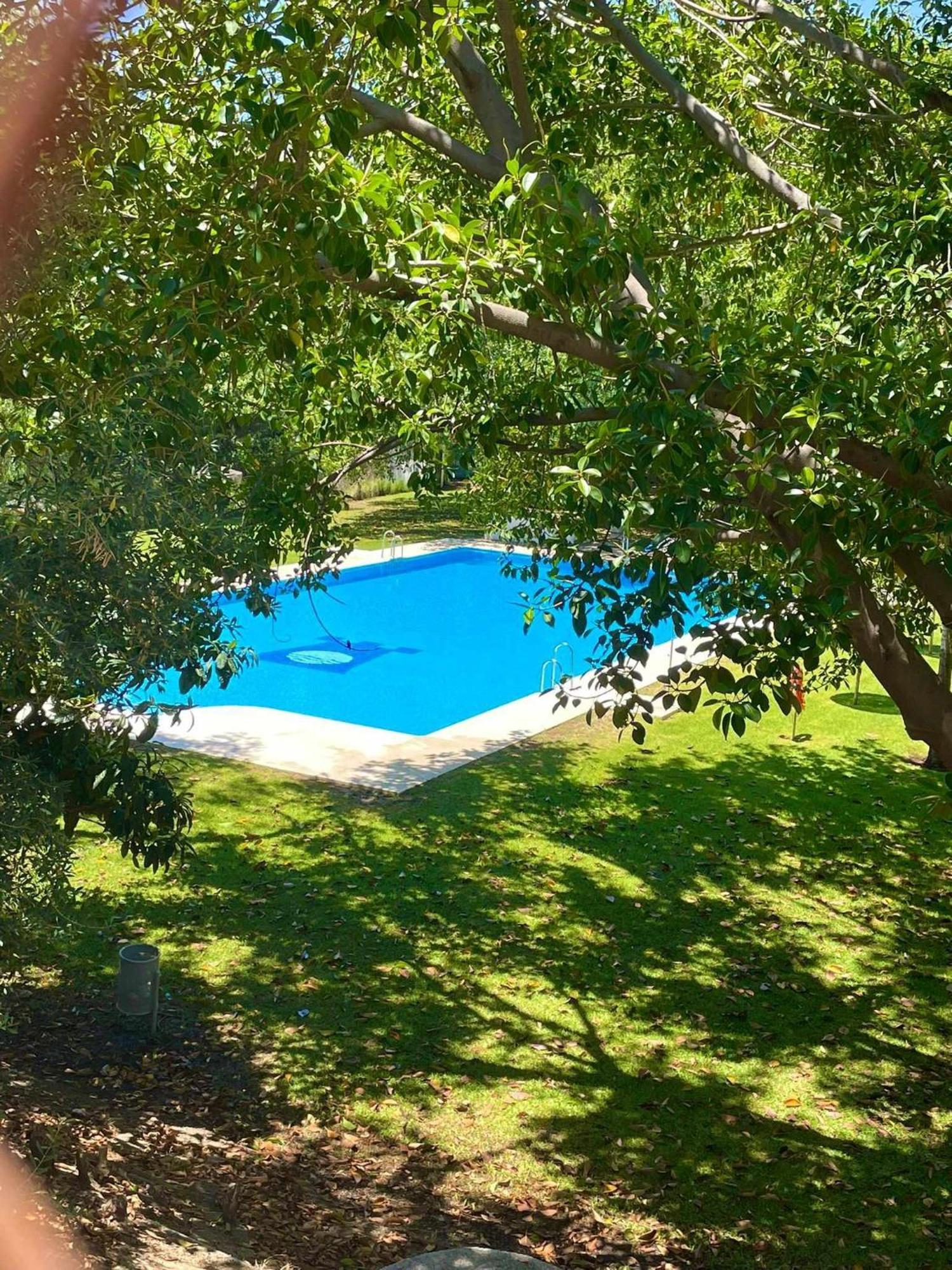 La Villa Escondida 1 Precioso Estudio Vista Al Mar マラガ エクステリア 写真