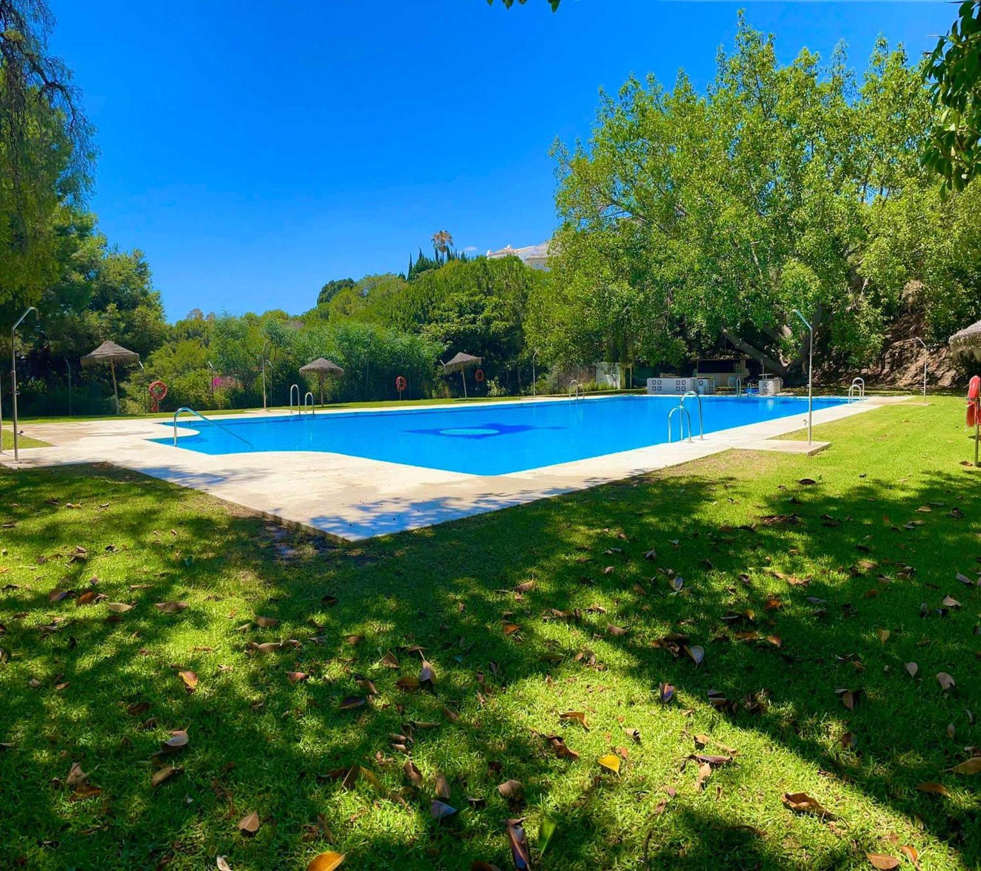 La Villa Escondida 1 Precioso Estudio Vista Al Mar マラガ エクステリア 写真